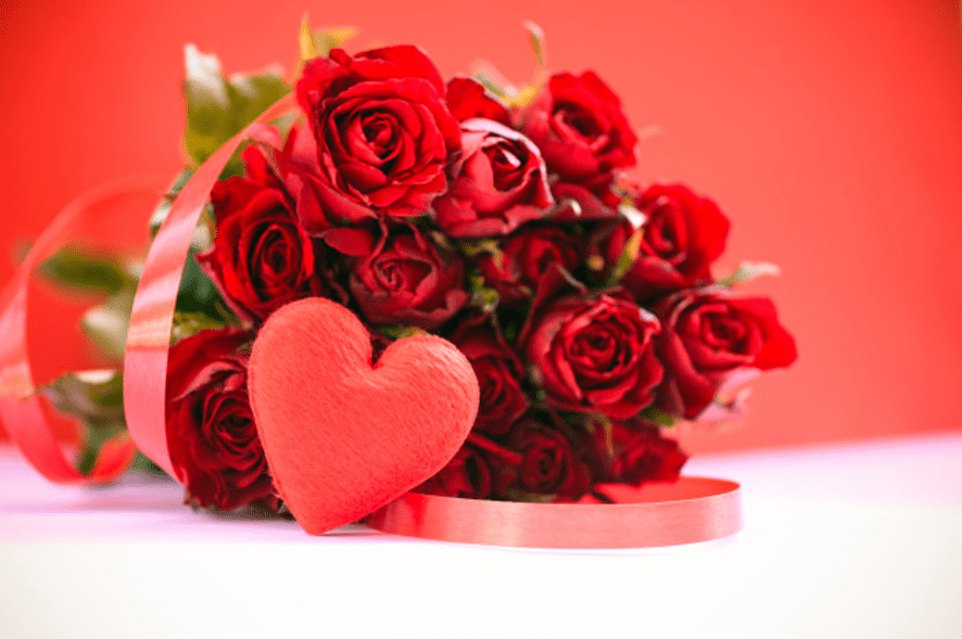 Rosas Vermelhas – Dicionário de números