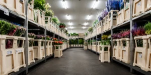 Florália revenda de flores frescas para profissionais