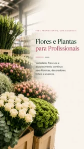 Revenda de flores frescas para profissionais