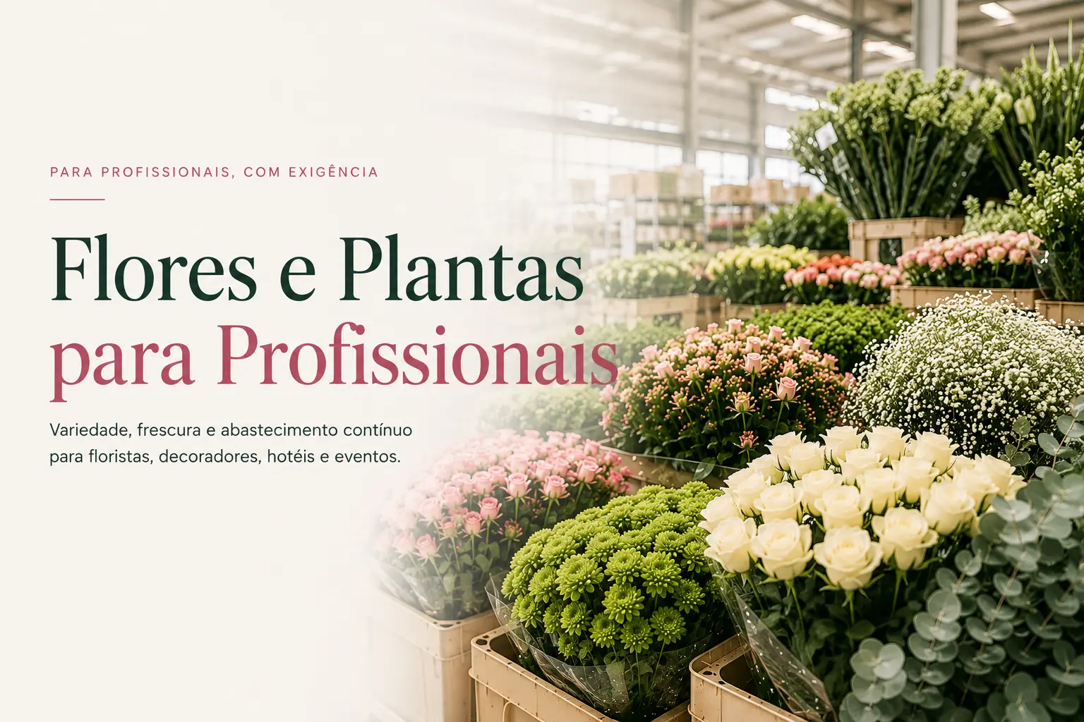 Flores frescas para floristas em Portugal
