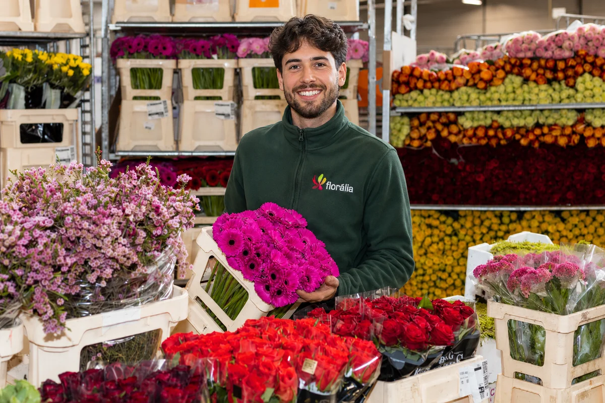 Florália: Flores Frescas Selecionadas para Profissionais. Elemento da equipa Florália com gerberas cor-de-rosa rodeado por diversas variedades de flores frescas.