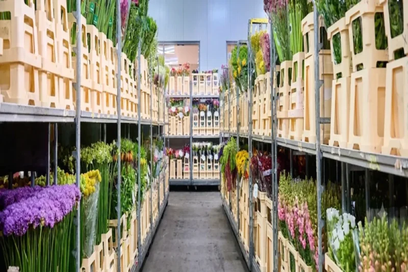 Stock de Flores Frescas | Florália Interior do armazém da Florália, mostrando corredores com estantes industriais repletas de flores frescas e folhagens coloridas organizadas para distribuição.