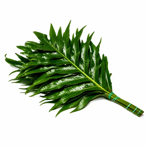 Aglojim
