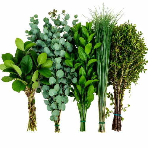 Verduras