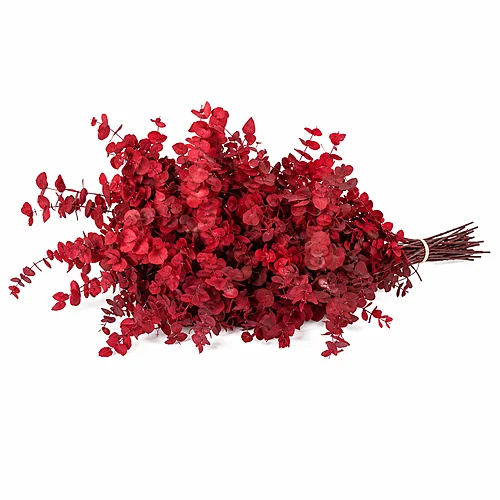 Eucalipto Preservado Stuartiana Vermelho