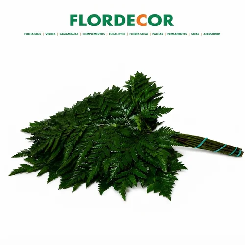 Feto Flordecor