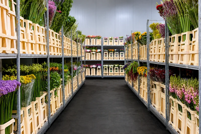 floralia-comercio-de-flores-frescas-para-profissionais Interior do armazém da Florália com flores frescas para profissionais