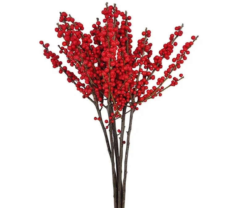 Ilex