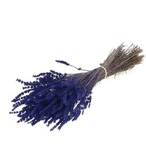 Lavanda Preservada