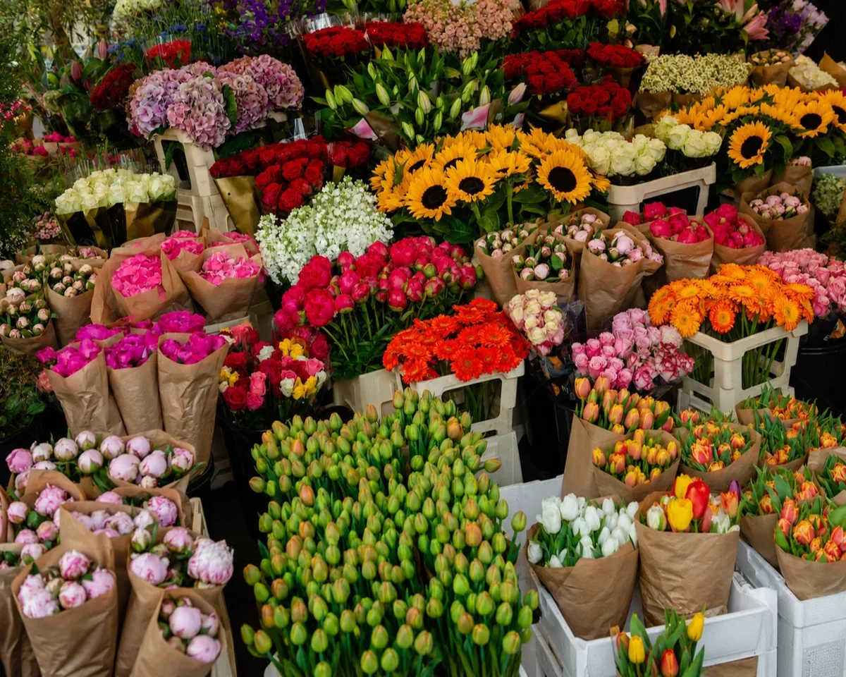 Revenda de flores frescas para profissionais Revenda de flores frescas para profissionais