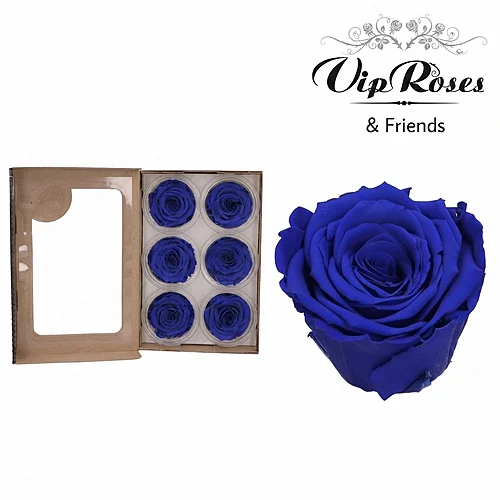 Rosa Preservada Azul