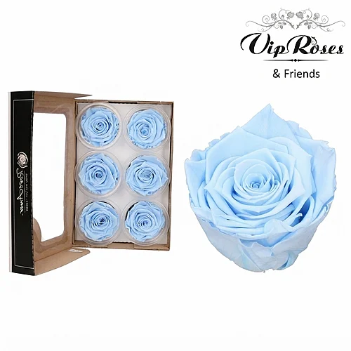 Rosa Preservada Azul Claro