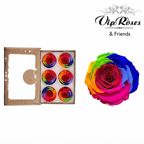 Rosa Preservada Rainbow