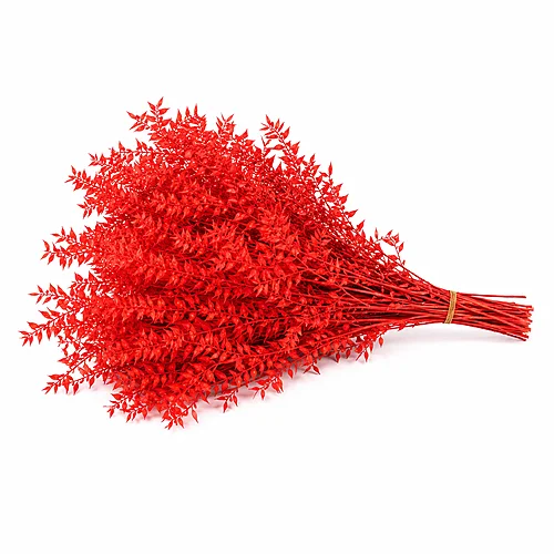 Ruscus Preservado Vermelho