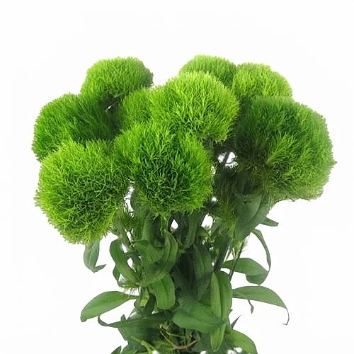 Green Trick