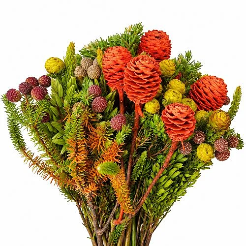 Bouquet Exótico Jealousy