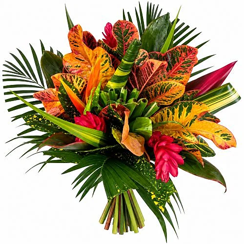 Heliconia Bouquet Rainbow Croto