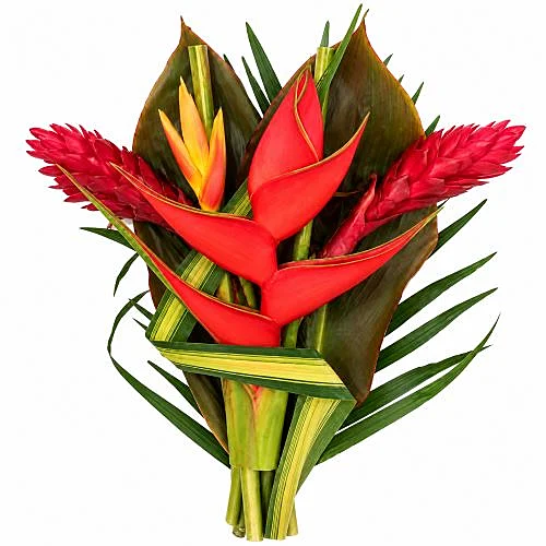 Heliconia Bouquet Zaire